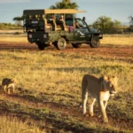 Ranthambore Taxi Services & Safari